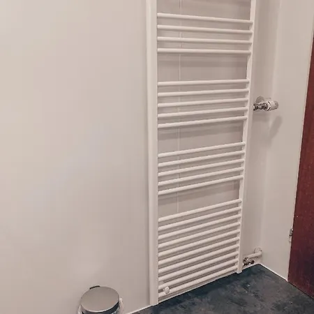 Paula وينتربرغ